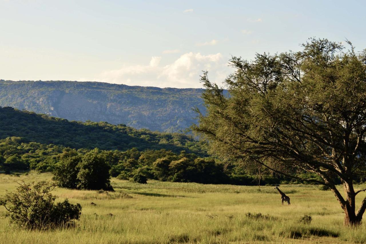 Villa Leshiba Wilderness Louis Trichardt Esterno foto